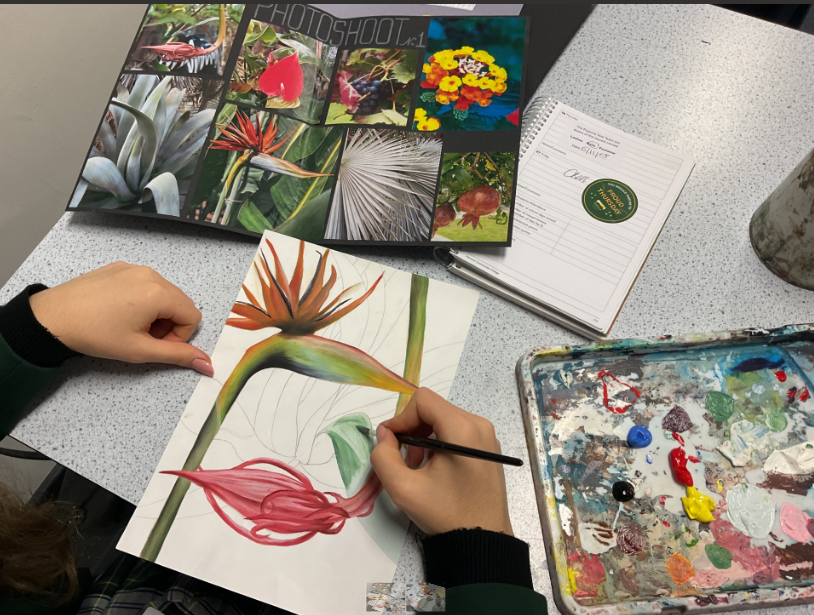 w/b 10th November #hccthisweek